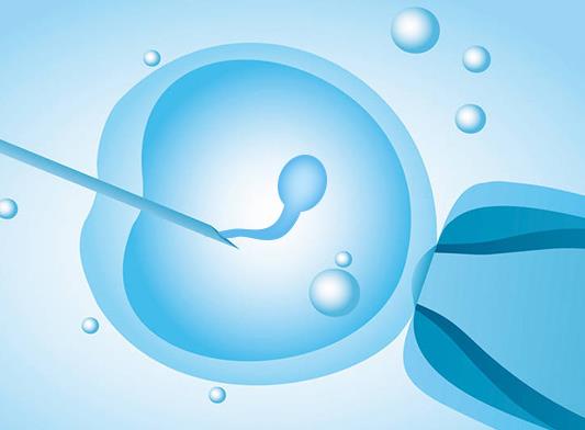 保定借卵试管：2023年对体外受精的成功率进行分析，并有可能提高成功率。