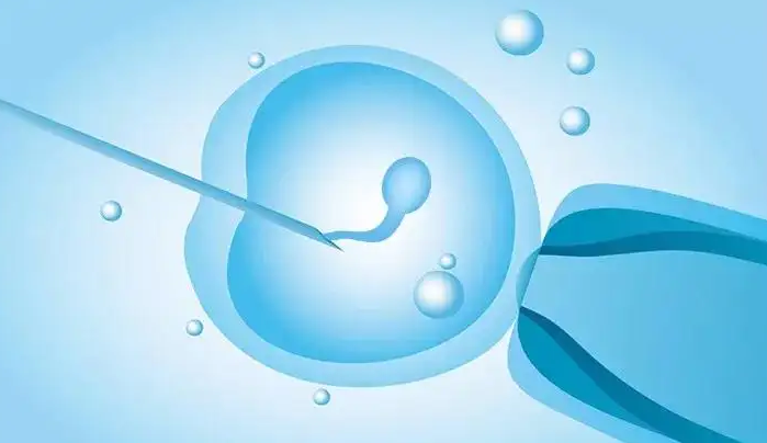 德州51岁供卵试管助孕：在试管婴儿降级治疗期间，夫妻可以进行性生活吗？
