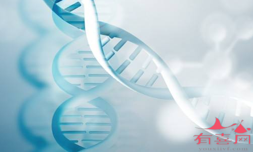 东莞助孕中介选性别-纯235基因突变是什么意思？
